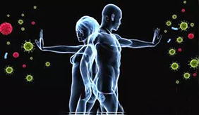 人体免疫系统的奥秘大揭秘