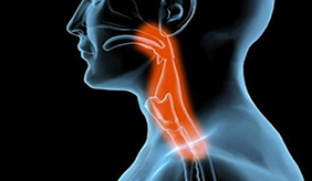 总是想清嗓子是怎么回事？ 保护嗓子有绝招