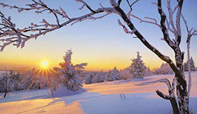 “睡不醒的冬三月”，精神百倍有妙招