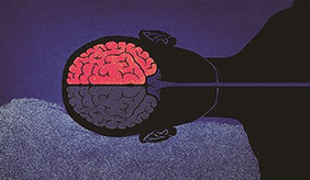 这些习惯益大脑 给五脏六腑开