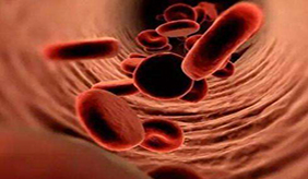 血脂多高才算高？要不要用降脂药？