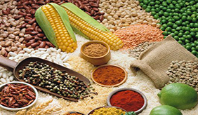 经常吃粗粮 你吃对了吗？