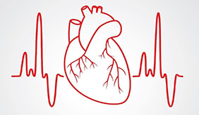 体检报告的“窦性心律不齐”如何解？