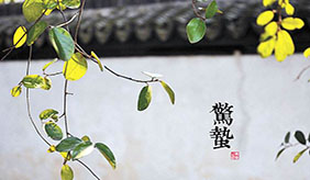 惊蛰：穿衣得捂 饮食要淡！