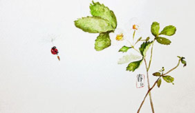 春分时节，“倒春寒”，要防4类病“偷袭”