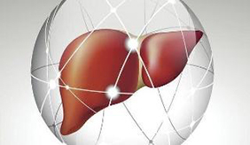 肝功能反复异常 小心“自免肝”找上门