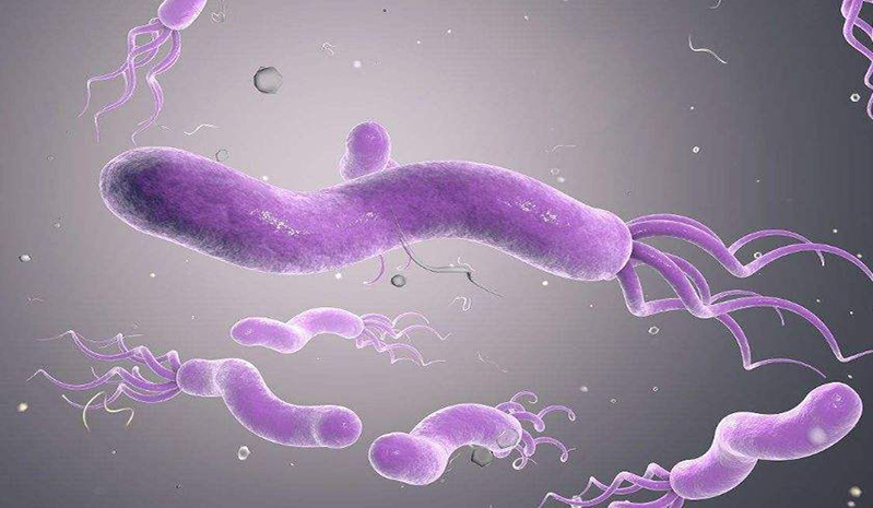 经常外出吃饭，有哪些症状说明感染了幽门螺杆菌？