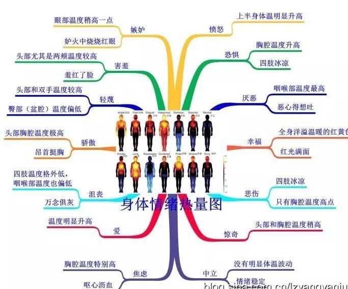 1542267385741620.jpg 2.jpg