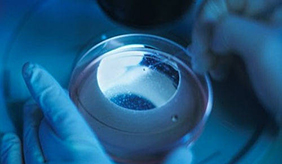 干细胞和免疫细胞的区别，在实际应用中我们该如何选择？