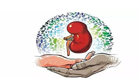 肾脏问题无小事，牢记4个点很关键，注意生活细节，预防肾损伤