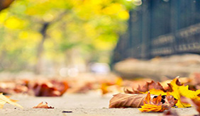 立秋后鼻涕眼泪流不停？秋季过敏，你中招了吗？