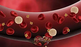 血常规检查能查出什么