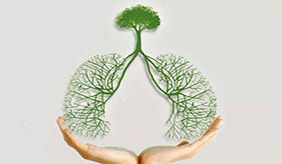 哪些人要定期体检肺功能？