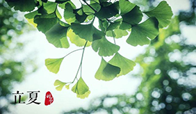 立夏到，重养生！吃“4果5瓜”，记“2防4多”，开启夏季养生模式