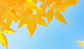 立秋后全国多地发布高温预警，平安入秋注意这6点！