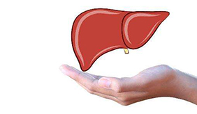 想要保养好肝脏，养肝要避开这3件事，以免给肝脏添乱