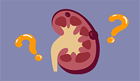 肾不好的人，如何有效调理？