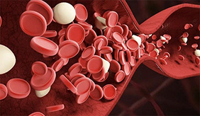 高脂血症“食养指南”发布，8种吃法稳住血脂