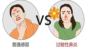如何区分花粉过敏和感冒？