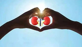 肾病该如何判断，肌酐又和它有什么关系呢？