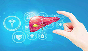 保护肝脏要规避不良习惯