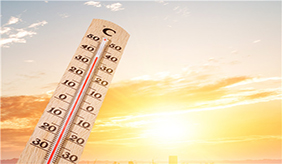 三伏天如何正确养生呢？