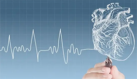 痛风也会引起心脏病？