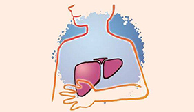 五个伤害肝脏的不良习惯，你中了几个？