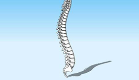 自测脊椎是否健康参照14条