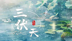 三伏天如何调节饮食作息、科学养生？