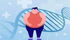 有效又好操作的“防肥”建议