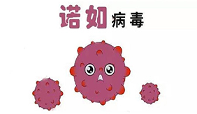 科学应对诺如病毒感染，一组数字带你了解！