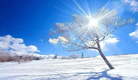 穿很多还是手脚冰凉，或是没做这6件事