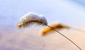 冬季保暖可不只是“多穿点”！