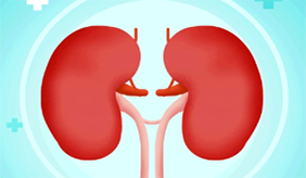 如何养肾护肾？专家教你这样做！