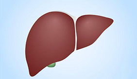 春季如何养肝？推荐六种绿色春菜