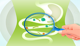 肠胃不好的人是否可以吃苹果?