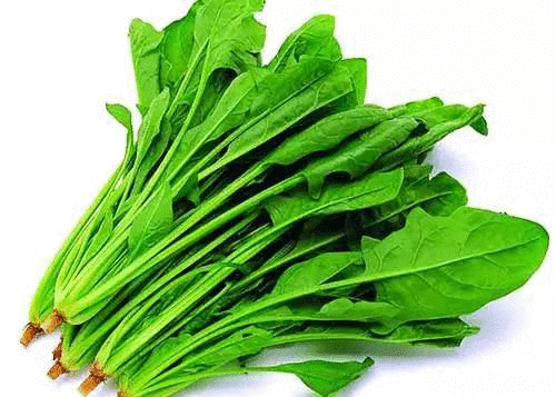 6795580c54af6bd691b23b2ec2e835da